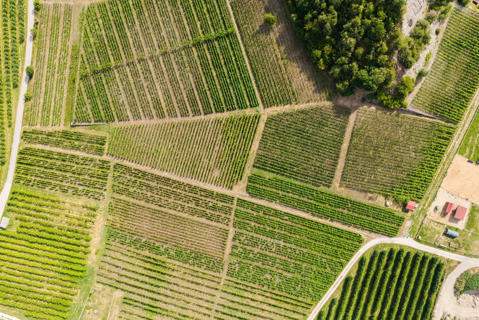 Les parcelles du domaine vues à la verticale