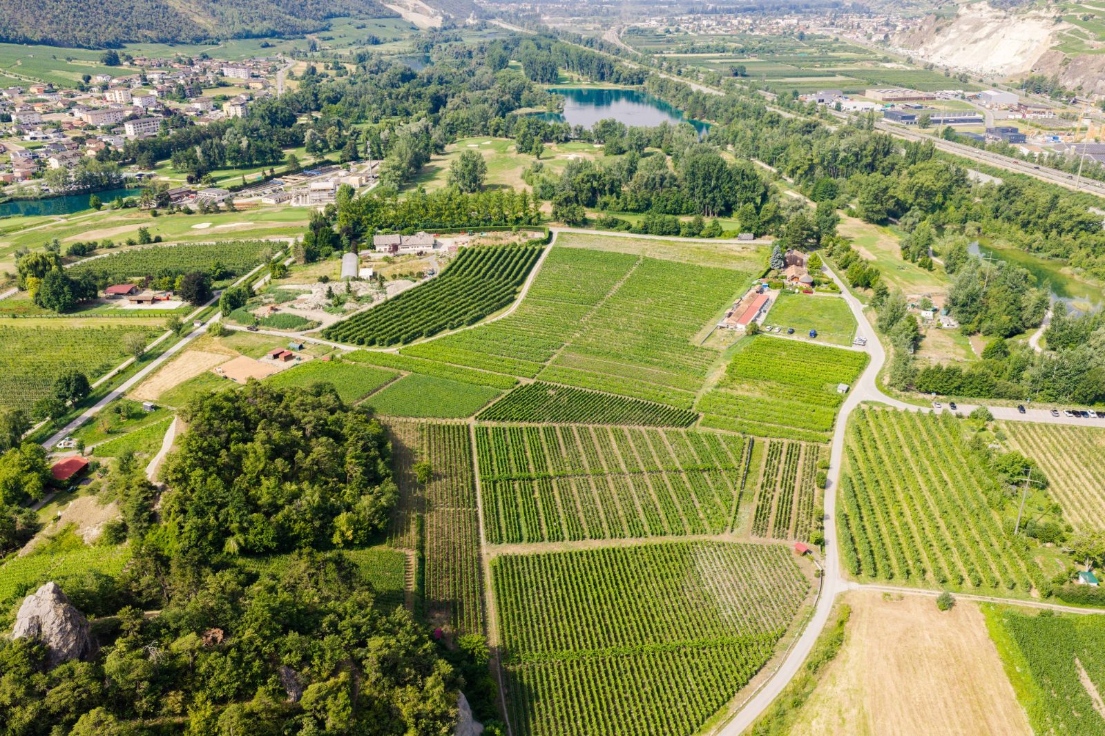 Le vignoble de Granges dans la plaine du Rhône